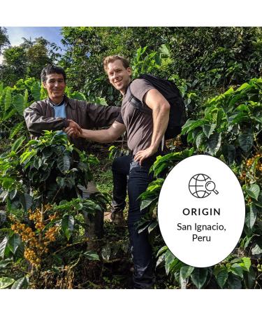 Bridgehead Coffee- Centro House- 3 pack | Full Medium Roast Coffee | Whole Bean Coffee | 340 g - 12 oz each pack | Organic | Fairtrade | Sustainable | proudly Canadian Centro House 1.02 kg (Pack of 1) - Buy Online on GoSupps.com