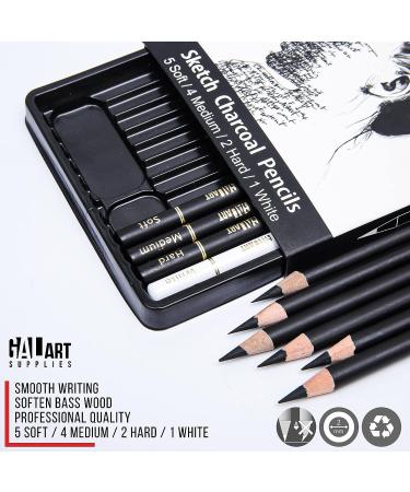 Galart Supplies Charcoal Drawing Set - 12 Piece Pre-Sharpened Pencils for Artists and Beginners | Soft, Medium, Hard, and White Charcoal Pencils for Drawing, Shading, and Sketching with Organizer Tray - Buy Online on GoSupps.com