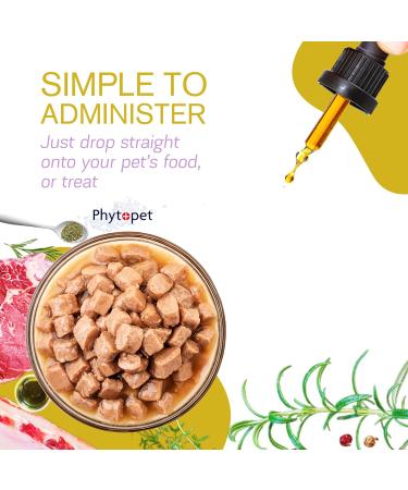 Phytopet Skin Aid 30ml - Veterinary Supplement for Dogs, Cats, Horses - Internal Support for Healthy Skin - Eczema, Dry, Flakey Skin Relief - Buy Online on GoSupps.com