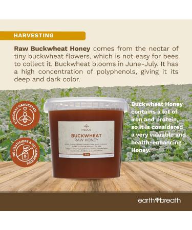 Earthbreath Buckwheat Raw Honey - 3kg - Pure Dark Unheated Unpasteurised and Unfiltered - Natural Sweetener for Cooking Coffee Juice Drinks Food - Buy Online on GoSupps.com
