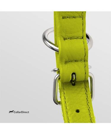 Collardirect Round Leather Dog Collar Handmade Softly Padded Real Leather for Dogs & Cats Adjustable 35-40 cm Available in Black Pink Red Purple Blue Lindgr n - Buy Online on GoSupps.com