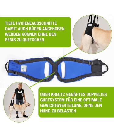 Premium XL Blue Dog Rehabilitation Aid - Neoprene Walking Support for Spine Hip & Knee Issues | From Nature Pet - Buy Online on GoSupps.com