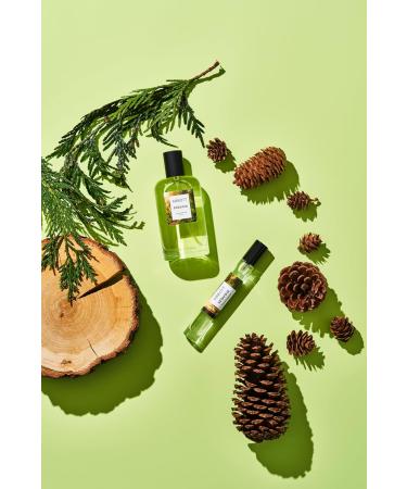 Abbott Sequoia Eau de Parfum - Mini Perfume for Men & Women Notes of Smokey Incense Cedarwood & Sandalwood Clean Long Lasting Vegan Paraben-Free Cruelty-Free 10mL 1 Fl Oz (Pack of 1) - Buy Online on GoSupps.com