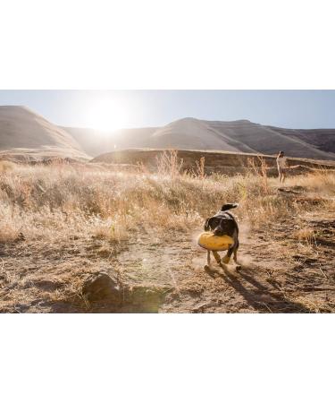 Ruffwear Hover Craft Toy - Wave Orange (Large) | Durable Fetch Toy - Buy Online on GoSupps.com