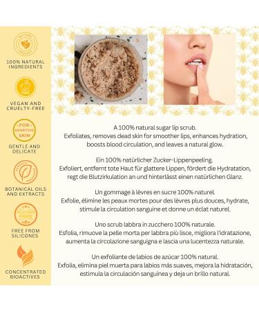 BEES of BRITAIN Sugar Lip Scrub - 100% Natural Jojoba Honey Vanilla - 50g - Buy Online on GoSupps.com