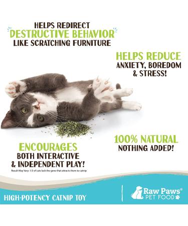 Raw Paws Pet Natural Catnip 1-oz - Premium Loose Catnip Leaf for Cats - Potent Refill for Toys - Cat Catnip Herb Dried - Buy Online on GoSupps.com