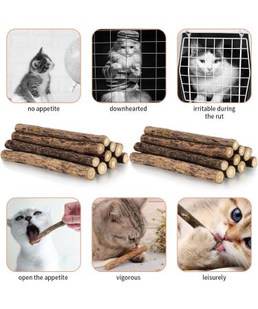 Newoutset 33 Pcs Cat Catnip Sticks Cat Catnip Chew Toys Natural Silvervine Matatabi Catnip Sticks Toys Cat Kitten Teething Toys Sticks for Cat Kitten Teeth Cleaning Including 3 x Cat Mouse Toy - Buy Online on GoSupps.com