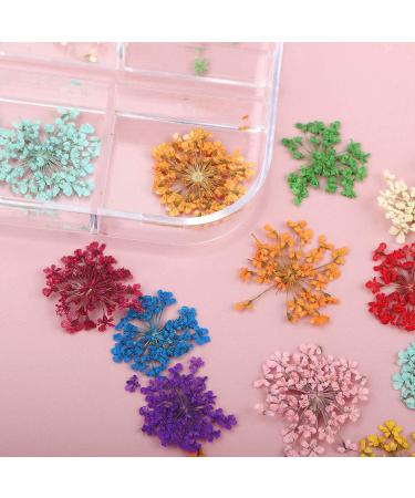 Mini 3D Nail Dried Flower Sticker Kit - Real Natural Five Petal Flower and Leaf Gypsophila Dry Flowers for Nail Art Resin Craft DIY - 2 Boxes, 5.12 x 1.97 inches - Buy Online on GoSupps.com