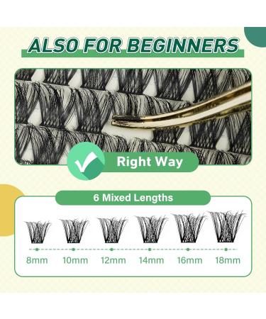 DIY Lash Extension Kit - KEYYOU 144pcs Eyelash Cluster Set with Glue Applicators & Mascara Brush - Perfect for At-Home Lash Extensions (Y01 Kit - Buy Online on GoSupps.com