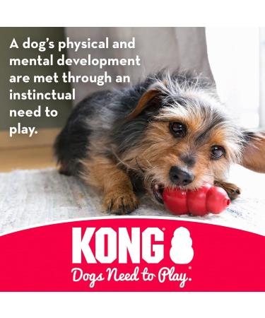 KONG Goodie Bone for Large Dogs - Durable Rubber Chew Toy & Snack Holder - Red - Buy Online on GoSupps.com
