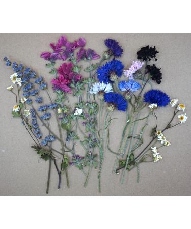 Dried Edible Flowers - Buy Online on GoSupps.com