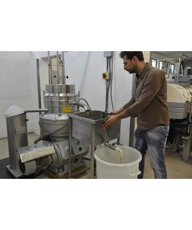  Gnavolini Raccolta Sapore Extra Virgin Olive Oil 100% Italian Cold Extracted from Gnavolini Harvest Flavor | 500ml Round Jar | Extra Virgin Oil for Culinary Excellence - Buy Online on GoSupps.com