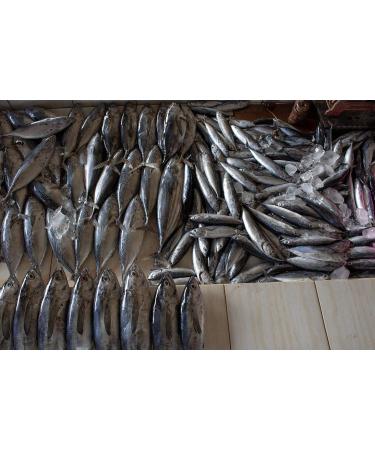 Buy La Quiberonnaise Spicy Sardines with Habanero - 4x115g | Gourmet International Shipping - Buy Online on GoSupps.com