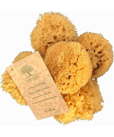 Zerazi | Natural Sea Sponge | 17-18 cm | - Buy Online on GoSupps.com
