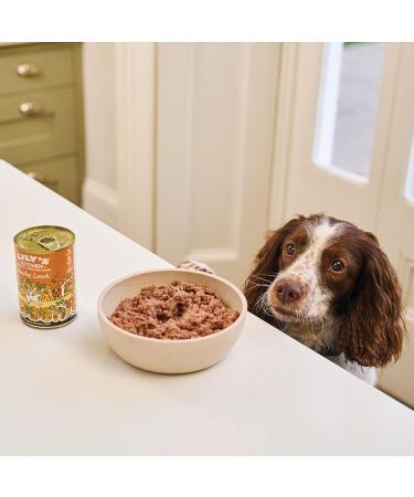 Lily's Kitchen Grain-Free Wet Dog Food - Adult Dogs 6 x 150g Multipack | Healthy & Convenient 6-Seater Bowls - Buy Online on GoSupps.com