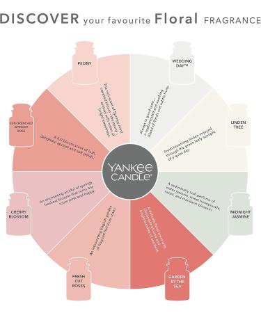 Yankee Candle Sun-Drenched Apricot Rose - Small Glass Candle | 30 Hours of Fragrance | International Shipping Available - Buy Online on GoSupps.com
