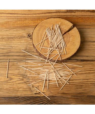 Cinnamon Flavored Toothpicks for Adults - 600 Picks Bulk Pack for Oral Hygiene and Dental Care - 6 Pack Cinnamon Flavor - Buy Online on GoSupps.com