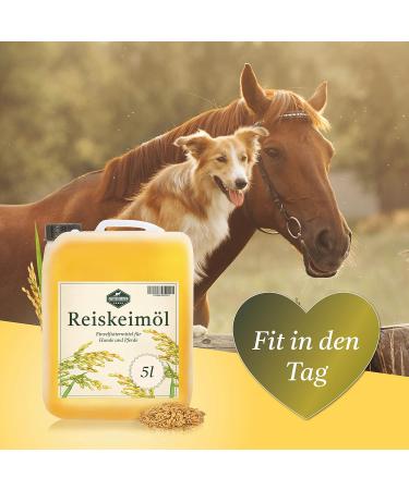 Martenbrown Rice Germ Oil 5L - Premium Dietary Supplement for Horses Dogs & Donkeys | Ideal for Dry & Canned Food Barf Oil - Buy Online on GoSupps.com