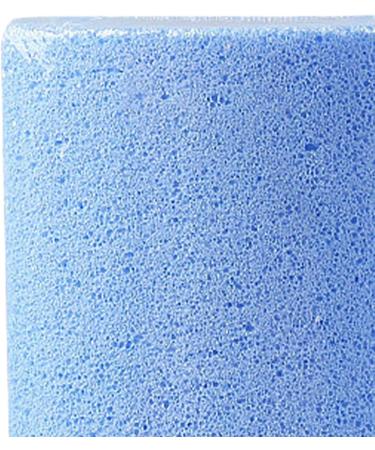 Foam Glass Callus Remover Pumice Stone Dead Skin Removal Soften Feet Portable Design for Professional Foot Care with Hygienic Foot Exfoliation Tool (Blue) - Buy Online on GoSupps.com