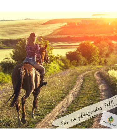 Herbal Land Black Cumin Oil for Horses Dogs & Cats - 100% Pure Cold-Pressed - 2 Liters (2x1L Dosing Bottle) - German Premium Quality - Buy Online on GoSupps.com