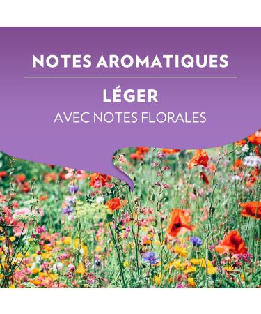 LAVAZZA - Cafe Espresso Soave - A Modo Mio Capsule Coffee - 100% Arabica - Mild and Light Coffee - 16 Capsules Compatible with Lavazza A Modo Mio 16 Units (Pack of 1) - Buy Online on GoSupps.com