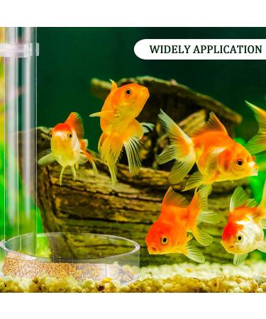 Shrimp Feeding Set: 12pc Tubes & Dishes | Acrylic Feeder & Clear Bowl for Aquarium Shrimp, Betta & Tropical Fish - Buy Online on GoSupps.com