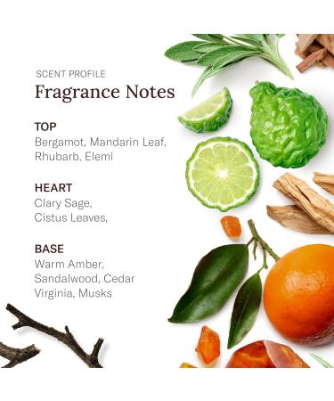 Stetson Personal Care Extra Strength Deodorant by Scent Beauty - Gel Men's Deodorant Stick for Grooming Kit - 3 oz - 3 Pack - Spirit Bergamot - Buy Online on GoSupps.com