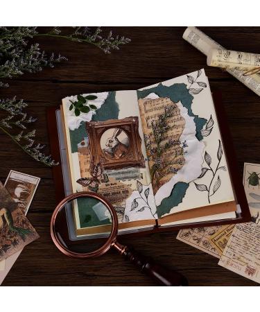 ANERZA 531 PCS Vintage Scrapbooking Supplies Stickers  Aesthetic Scrapbook Paper Art Journaling Kit for Bullet Journals  Ephemera for Junk Journal  Washi Stickers  Cottagecore Decoupage for Adults - Buy Online on GoSupps.com