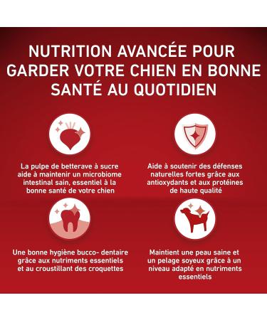 PURINA ONE Mini/Small 10kg Grain Free Chicken Dry Food | Small Breed Adult Dogs | 1.2kg Bag - Buy Online on GoSupps.com