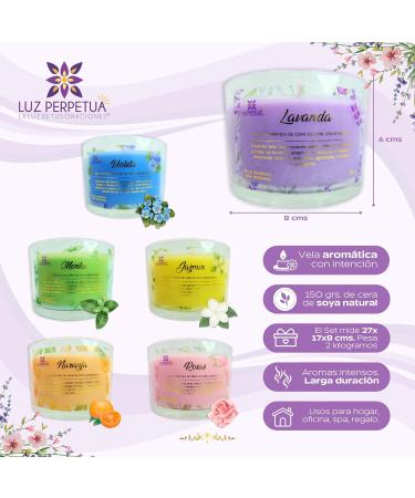 Box of 6 Scented Gift Candles for Women | Aromatherapy Soy Wax Candle Set | Perfect for Family & Friends | 40 Hours Long-Lasting Burn - Buy Online on GoSupps.com
