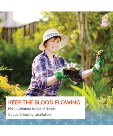 Neprinol AFD 500 mg - Advanced Fibrin Defense by Arthur Andrew Medical | 90 Capsules - Buy Online on GoSupps.com