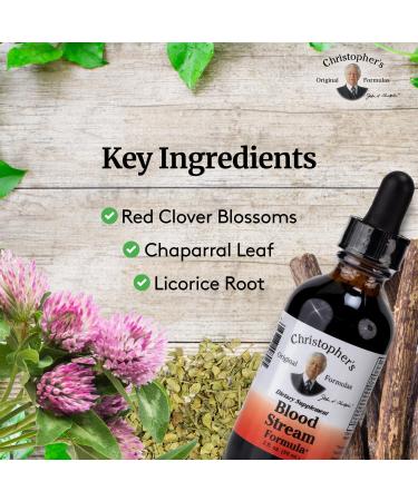 Christopher's Original Formulas Blood Stream Formula, 2 oz Glycerine Extract - Natural Herbal Blend - Pack of 2 2 Fl Oz (Pack of 2) - Buy Online on GoSupps.com
