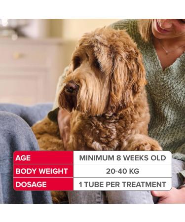 Beaphar FIPROtec Combo for Large Dogs (20-40kg) - Kills Fleas, Eggs, Ticks - Vet Strength Treatment | 6 Pipettes - Buy Online on GoSupps.com