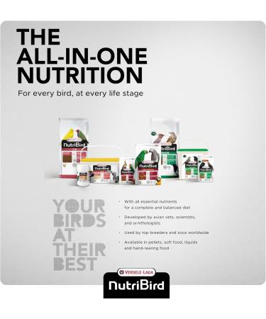 Versele Laga Nutribird Lori Orlux 700g Liquid - Buy Online on GoSupps.com