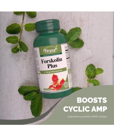 VORST Forskolin Plus 125mg With 25:1 Extract Ratio (3125mg Raw Extract Equivalent) 60 Vegan Capsules | Herbal Supplement for Men and Women | Includes 150mg African Wild Mango Extract | 1 Bottle 60 count (Pack of 1) - Buy Online on GoSupps.com