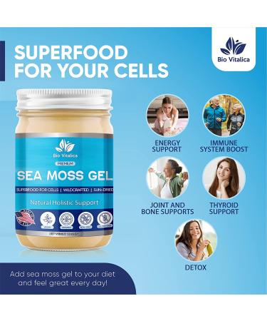 Sea Moss Gel by BioVitalica - Organic Irish Sea Moss Gel - Premium Quality Dr Sebi Vegan Superfood - 100% Natural 12oz - Buy Online on GoSupps.com