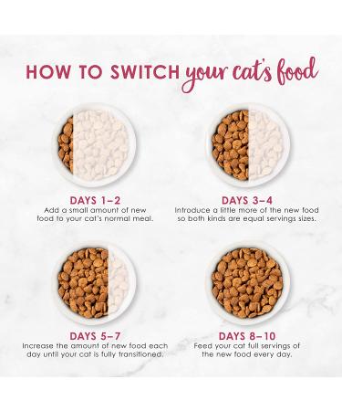 Purina Fancy Feast Filet Mignon Dry Cat Food with Seafood & Shrimp - 3 lb Bag - Buy Online on GoSupps.com