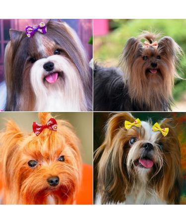 Symphonyw Dog Hair Bows 28 Pcs Daisy Flower Dog Hair Bows with Elastic Rubber Bands Pet Dog Grooming Hair Bands Hair Accessories for Long Hair Puppy Kitten Dogs Cats Random Color Multi-colored B - Buy Online on GoSupps.com