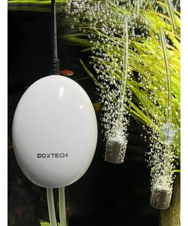 Boxtech Aquarium Air Pump Set - Bladder Stone Check & Control Valve for 1-150L Tanks - 2.5W Oxygen Solution - Buy Online on GoSupps.com