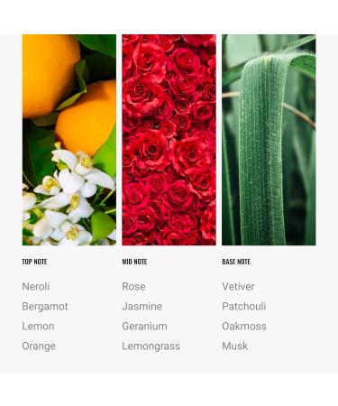 Hotel Collection Diffuser Oil-Talentless Oil Blend-Scott Disick Collaboration-Luxury Hotel Inspired-Lemon Zest Juniper Berries& Agarwood-50ML 1.7 Fl oz - Buy Online on GoSupps.com