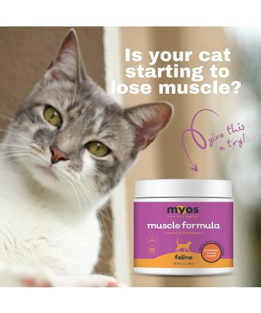 MYOS Feline Muscle Formula with Fortetropin | All Natural Cat Supplement for Muscle Loss | Reduce Feline Muscle Loss | 180 Servings - Buy Online on GoSupps.com