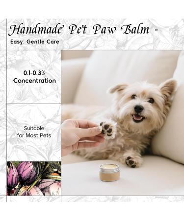 HIQILI 100ML Tea Tree Essential Oil & 150ML Opium Crush Fragrance Oil for DIY Diffuser - Buy Online on GoSupps.com