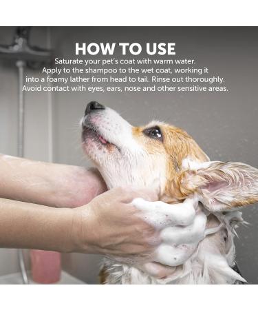 WAHL Dirty Beastie Pet Shampoo: Gentle Cleansing & Deodorizing for Dogs & Cats - International Shipping Available - Buy Online on GoSupps.com