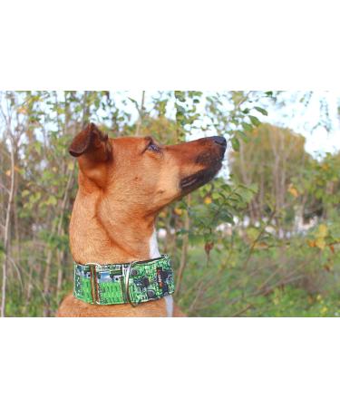 Buy candyPet Martingale Dog Collar - Model Chip LL (5 cm Width 30-50 cm Diameter) | International Shipping Available - Buy Online on GoSupps.com