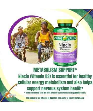 Spring Valley Vitamin B3 Niacin 500mg Flush-Free Capsules - Dietary & Metabolism Support + Venancio's Fridge Sticker (240 Pills) - Buy Online on GoSupps.com