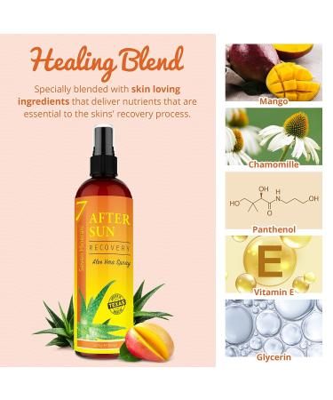 After Sun Solar Recovery Spray with Freshly Cut Texas Aloe - Instant Sunburn Relief for Skin & Face, Mango & Chamomile - 12 Oz - Buy Online on GoSupps.com