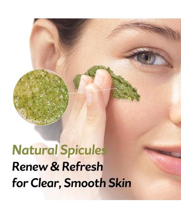 PESTLO Spicule Re-Born Exfoliating Peeling Mask - Gentle Exfoliation & Nourishing Hydration for All Skin Types (4.23 oz / 120ml - Buy Online on GoSupps.com