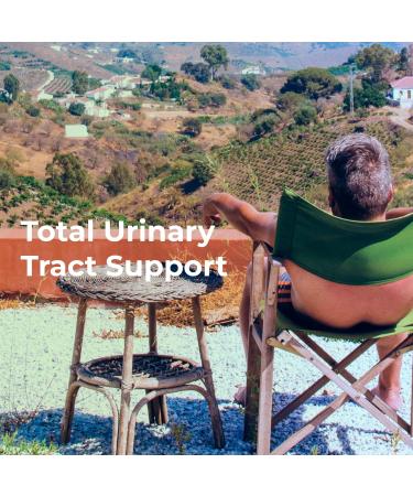 Youngevity Super KB - Proprietary Urinary Tract Health Supplement - Cranberry Bilberry Devil's Claw Horsetail & More - Ancient Legacy - 90 Capsules - Buy Online on GoSupps.com