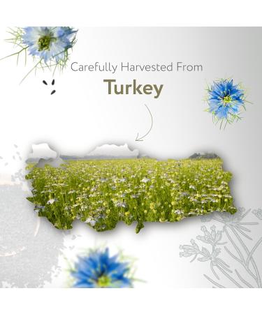 HBNO Organic Black Seed Oil - Huge 16 oz (475ml) Glass Bottle Value Size - USDA Certified Organic Black Seed Oil Cold Pressed for Face Body Lips Shampoo & Conditioner 16 Fl Oz (Pack of 1) - Buy Online on GoSupps.com