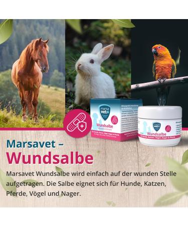 Marsavet+ 30ml Wound Ointment for Dogs Cats Birds & More | Zinc Propolis Hyaluron & D-Panthenol - Healing & Skin Infection Prevention - Buy Online on GoSupps.com
